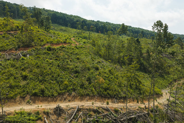 Acreage for Sale in Sneedville, TN