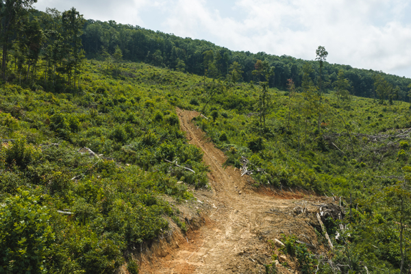 Acreage for Sale in Sneedville, TN