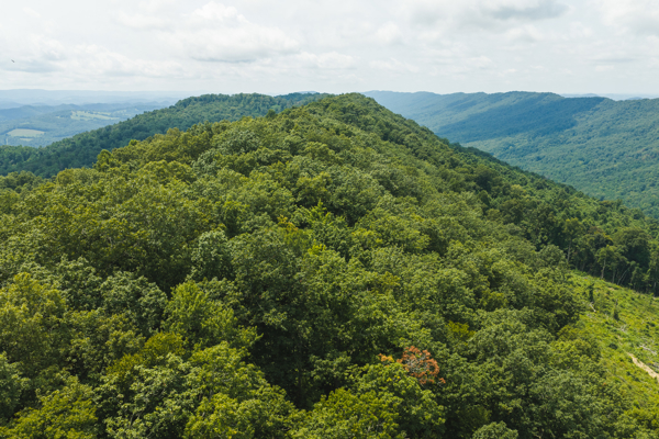 Acreage for Sale in Sneedville, TN