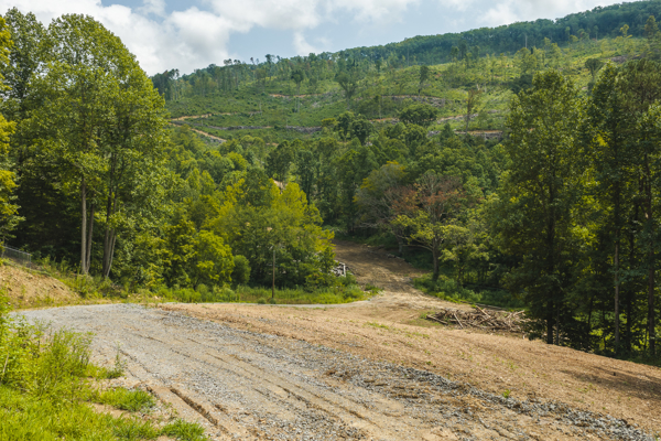 Acreage for Sale in Sneedville, TN