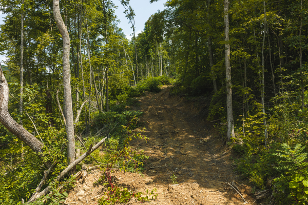 Acreage for Sale in Sneedville, TN