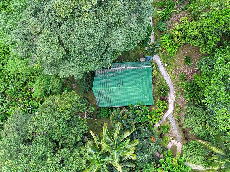 No Caption