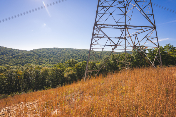 Recreational Land for Sale in Hiwassee, VA!
