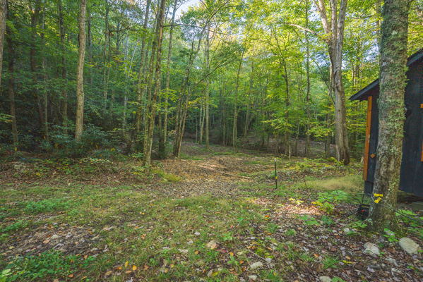 Recreational Land for Sale in Hiwassee, VA!