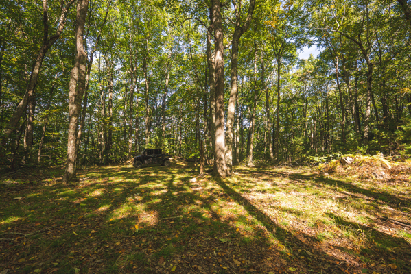 Recreational Land for Sale in Hiwassee, VA!