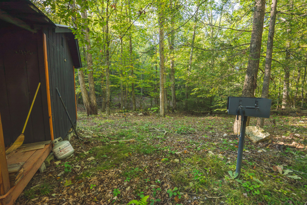 Recreational Land for Sale in Hiwassee, VA!