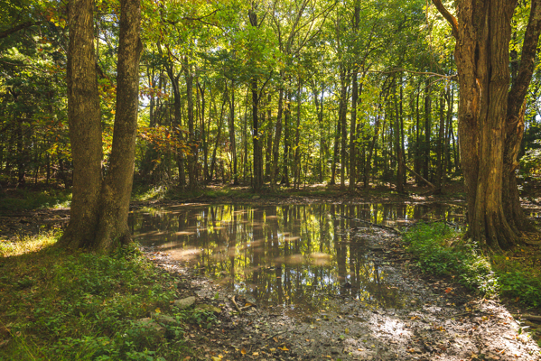 Recreational Land for Sale in Hiwassee, VA!