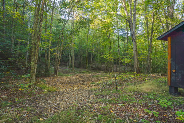 Recreational Land for Sale in Hiwassee, VA!