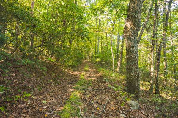 Recreational Land for Sale in Hiwassee, VA!