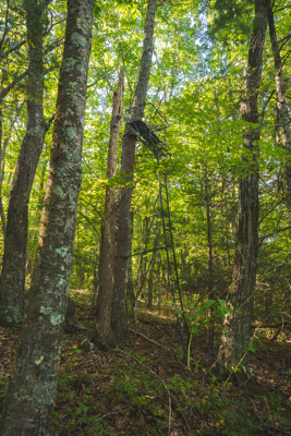 Recreational Land for Sale in Hiwassee, VA!