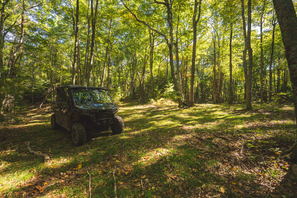 Recreational Land for Sale in Hiwassee, VA!