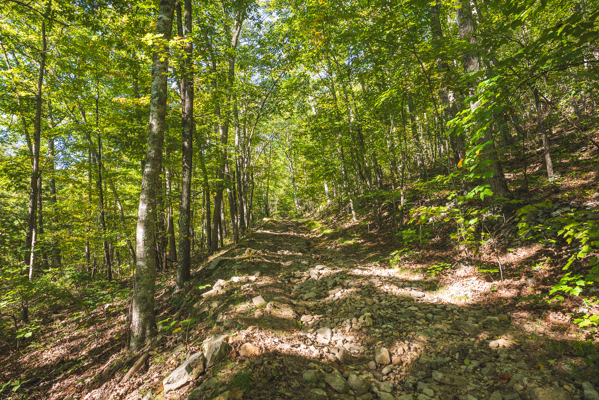 Recreational Land for Sale in Hiwassee, VA!