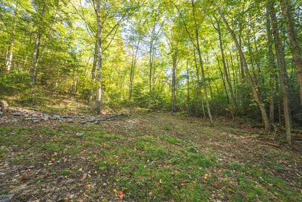 Recreational Land for Sale in Hiwassee, VA!
