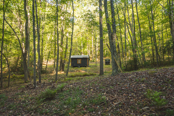 Recreational Land for Sale in Hiwassee, VA!