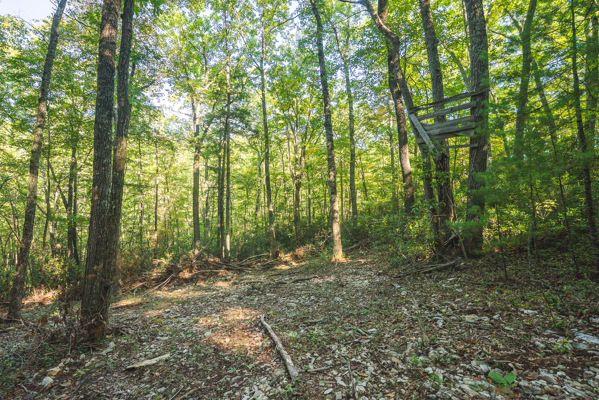 Recreational Land for Sale in Hiwassee, VA!