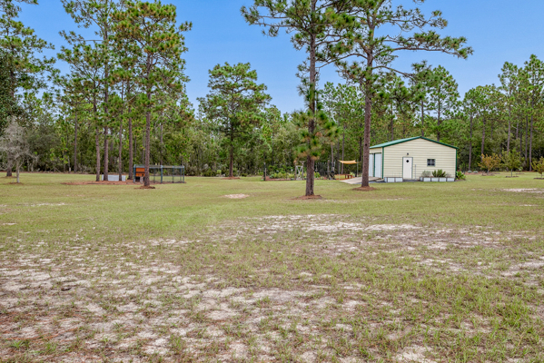 Home on Private 20 Acre Property In Williston, FL