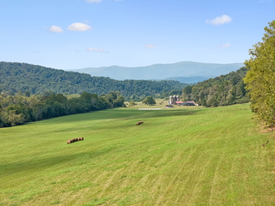 Riverfront Farm for Sale with Horse Facilities in Rocky Top, TN - image 10