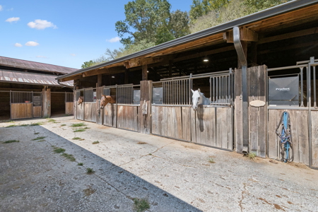 Riverfront Farm for Sale with Horse Facilities in Rocky Top, TN - image 28