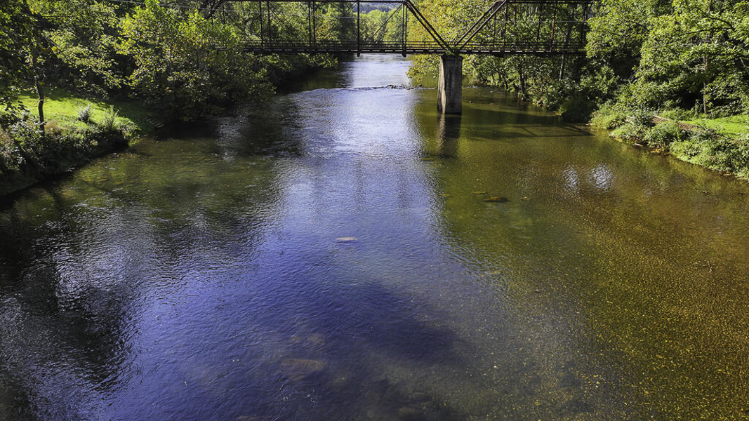 No Caption