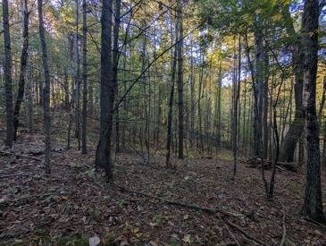Listing 31