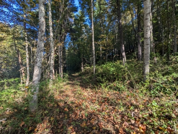 Listing 31