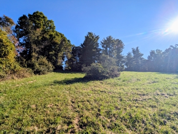 Listing 31