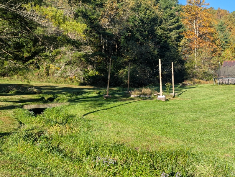 No Caption