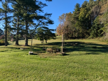 Listing 31