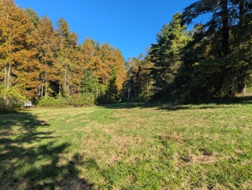 Listing 31