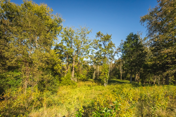 Waterfront Lot for Sale on Cherokee Lake in Whitesburg, TN!
