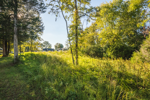 Waterfront Lot for Sale on Cherokee Lake in Whitesburg, TN!