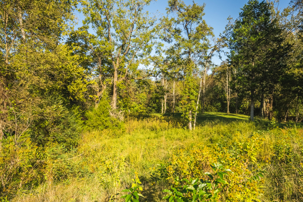 Waterfront Lot for Sale on Cherokee Lake in Whitesburg, TN!