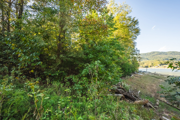 Waterfront Lot for Sale on Cherokee Lake in Whitesburg, TN!