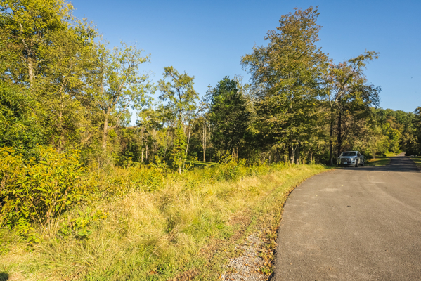 Waterfront Lot for Sale on Cherokee Lake in Whitesburg, TN!