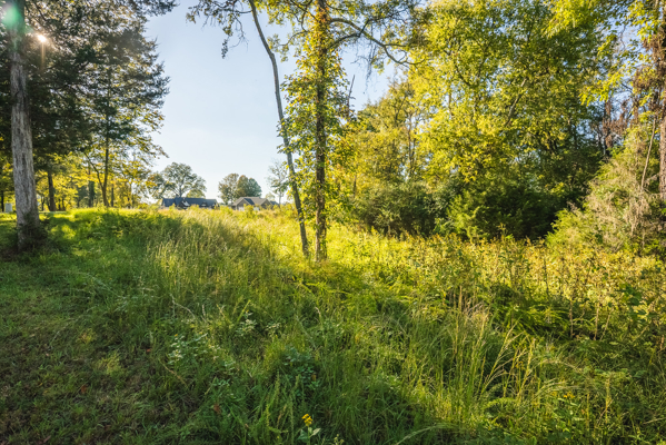 Waterfront Lot for Sale on Cherokee Lake in Whitesburg, TN!