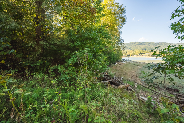 Waterfront Lot for Sale on Cherokee Lake in Whitesburg, TN!