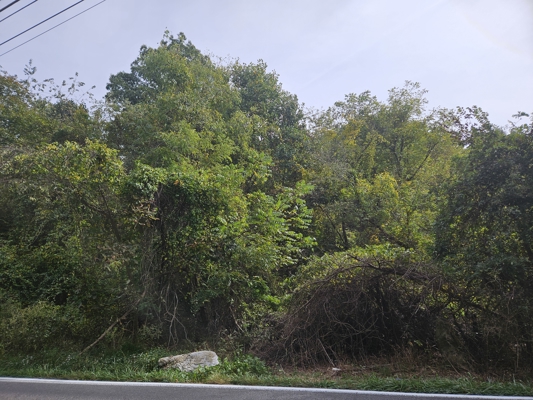 Wooded Lots for Sale in Bristol VA