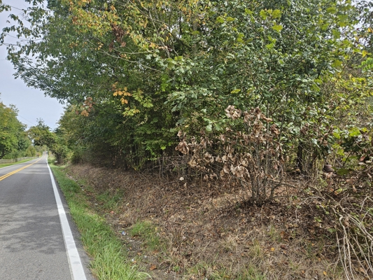 Wooded Lots for Sale in Bristol VA