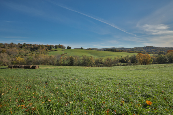 248+/- Acre Income-Producing Farm, Cattle Ranch & Hunting Estate