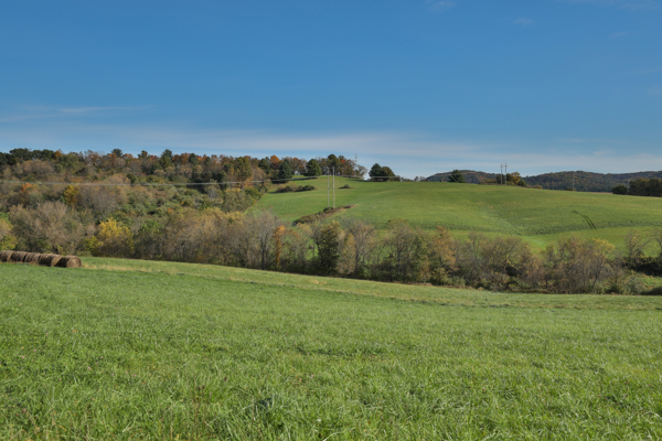 248+/- Acre Income-Producing Farm, Cattle Ranch & Hunting Estate