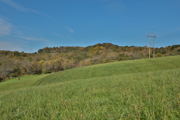 248+/- Acre Income-Producing Farm, Cattle Ranch & Hunting Estate