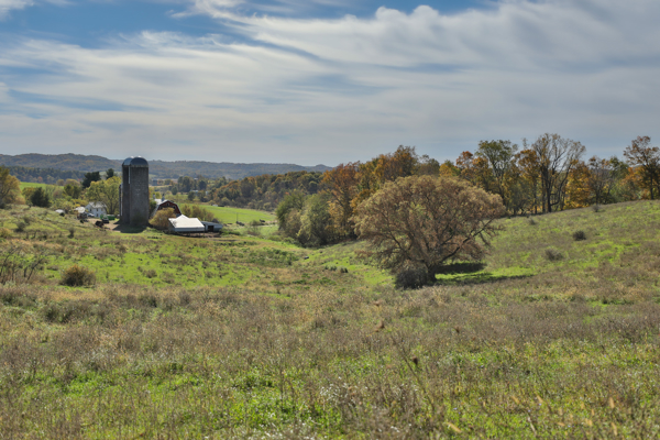 248+/- Acre Income-Producing Farm, Cattle Ranch & Hunting Estate