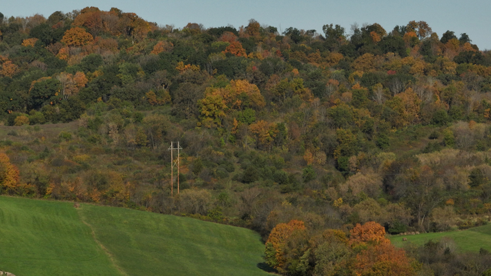 248+/- Acre Income-Producing Farm, Cattle Ranch & Hunting Estate
