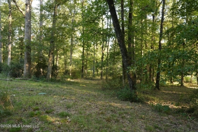 Listing 211