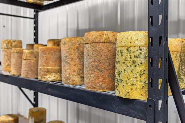 Wisconsin Country Farmstead & Artisan Creamery | Osseo, WI