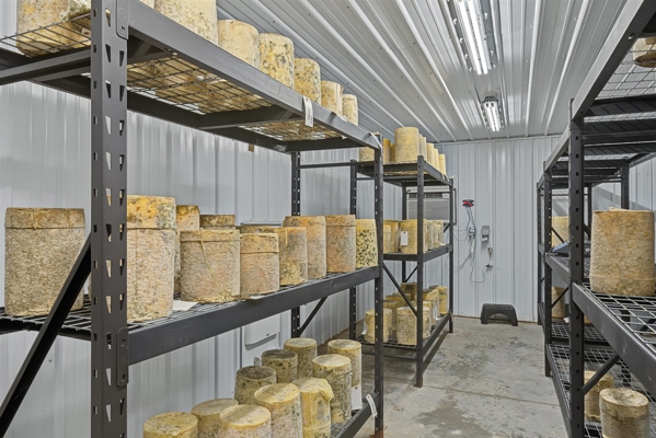 Wisconsin Country Farmstead & Artisan Creamery | Osseo, WI