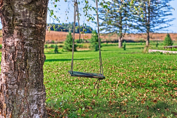 Wisconsin Country Farmstead & Artisan Creamery | Osseo, WI