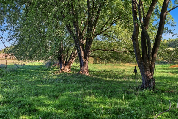 Wisconsin Country Farmstead & Artisan Creamery | Osseo, WI