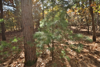Listing 33