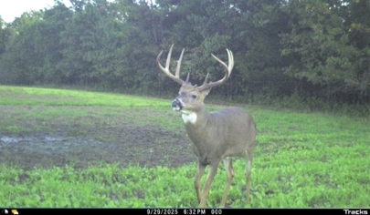 Listing 33